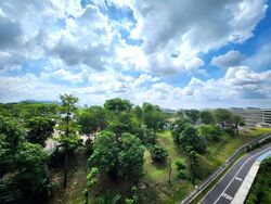 KI Residences at Brookvale (D21), Condominium #462346121